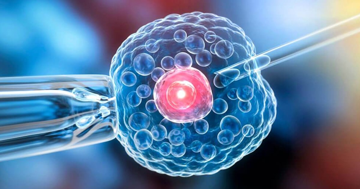 Why Cell Repair Therapy