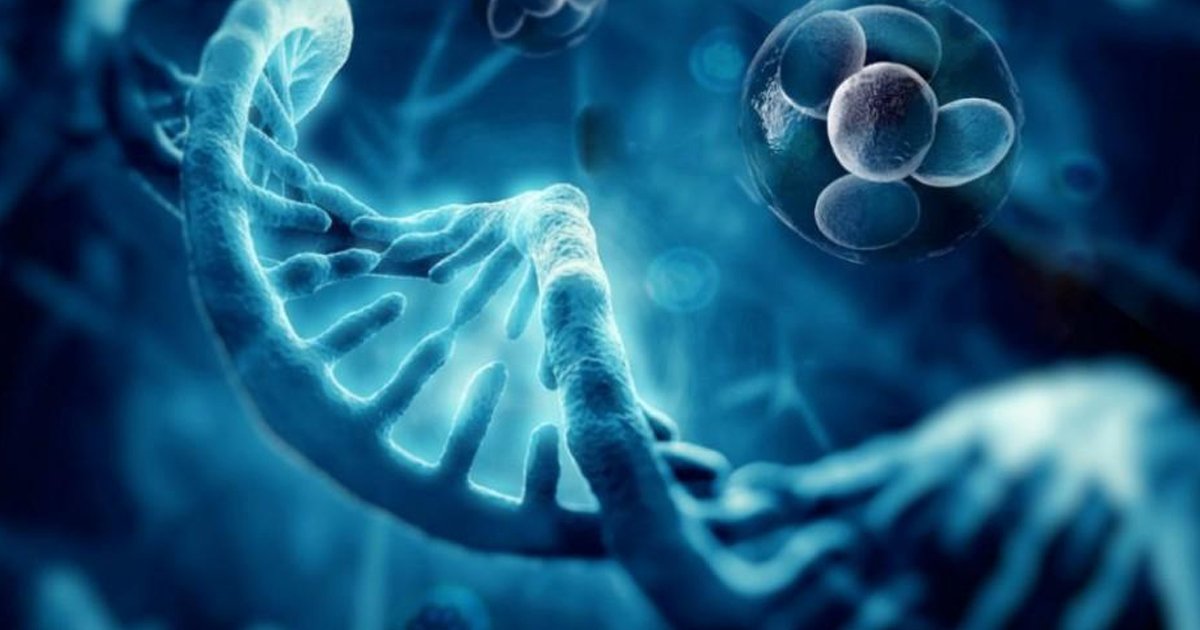 Preparation for Therapy